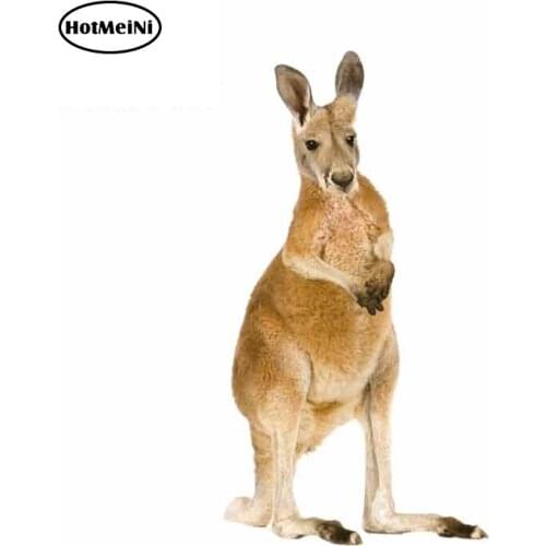 HotMeiNi 13cm x 7.5cm for Kangaroo Australia Car Truck Decal Bumper Window Personality Creative Stickers Body for Car Repair