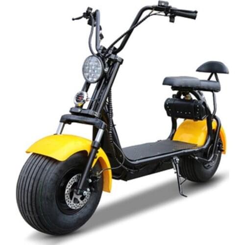 Citycoco Electric Scooter Motorcycle Cycling Bicycle 2Ah Lithium Battery Double Brake Customizable F
