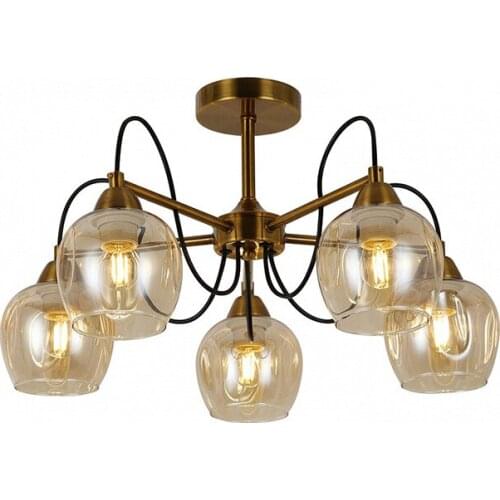 Evoluce Ceiling Lighting