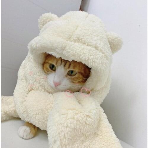 Jennie with han edition cute teddy bear scarf hat couple girlfriends