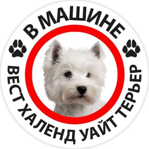 B0294# West Hyland White Terrier in the car Self-adhesive Decal Car Sticker Waterproof Auto Decors on Bumper Rear Window