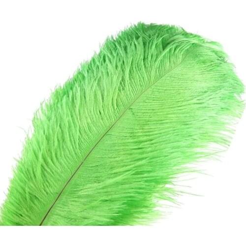 Wholesale Apple Green Ostrich Feather 15-70CM10-200pcs DIY feathers for crafts Christmas Party Wedding Dress Decorations plumes