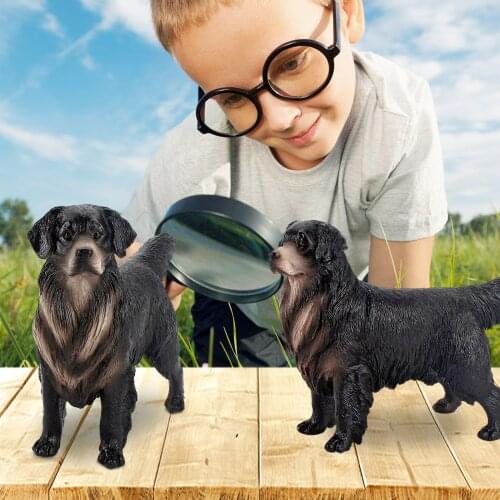 Black Dog Animal Dolls Model Toys Simulation Dog Model Educational Kids Accompanying Toys Figurines Home Decorate Preschool
