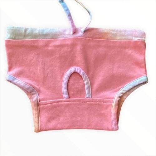 Kemique Briefs For Dogs