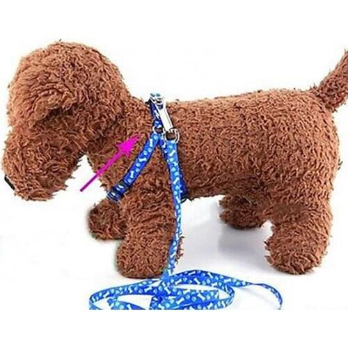 Nylon Dog Pet Puppy Cat Adjustable Harness with Lead Leash Colors To Choose Toys Leash Chain Collars Interactive Toy
