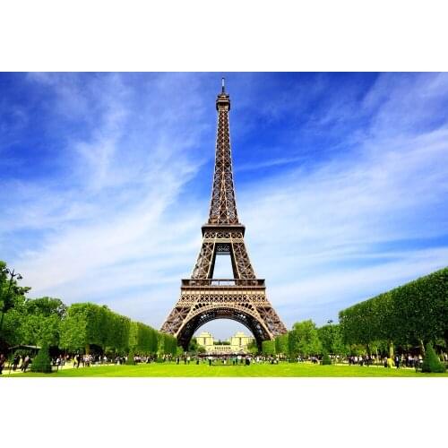 VinylBDS Studio Background Grandiose Eiffel Tower Photographic Sky Lawn For Photo Studio