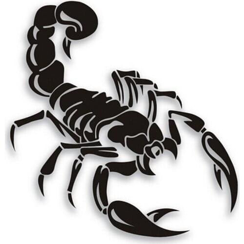 YJZT Car Wash Accessories