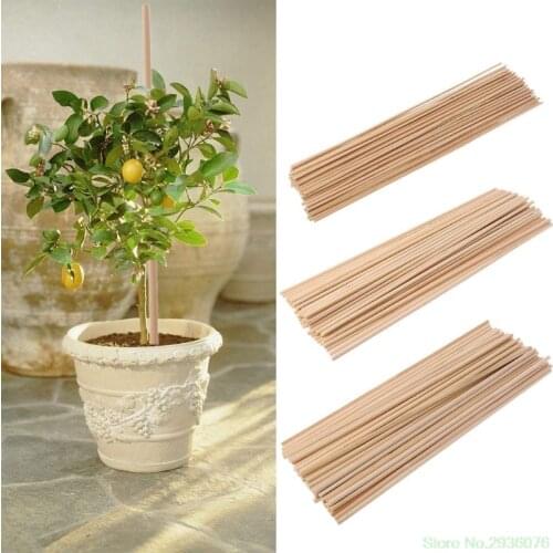 2019 New 50 Wooden Plant Grow Support Bamboo Plant Sticks Garden Canes Plants Flower Support Stick Cane