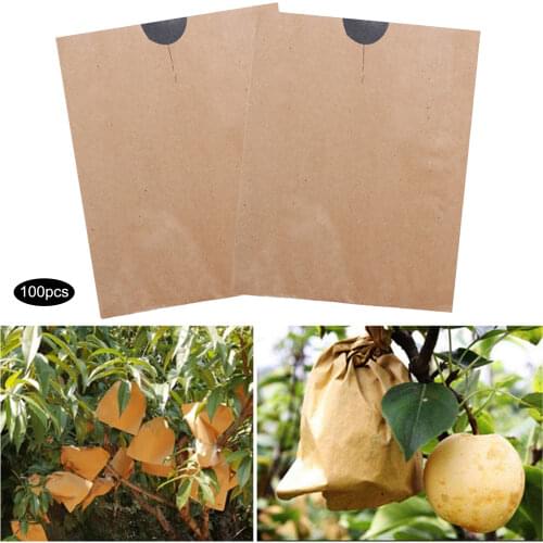 Barrier Bags Reusable Prevention Agricultural 160x190cm Anti Bird 160*190mm 100PCS Pulp Paper Protection Fruit Care