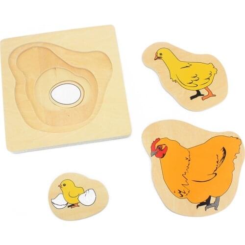 Toddlers Montessori Materials Wooden Toys Science Toys Life Cycle of Hen Egg Hatching Grow Up Puzzles Jingsaw Preschool Infant