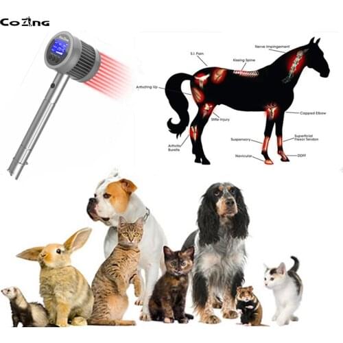 Veterinary Laser Therapy Certification Cold Laser Therapy Device For Human Animal Sprain Anti-Inflammatory Treatment