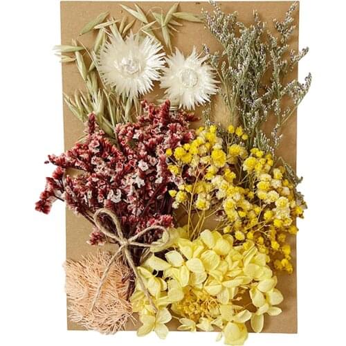 Natural Dried Flower Dry Plants For Aromatherapy Candle Epoxy Resin Pendant Necklace Jewelry Making Craft DIY Accessories