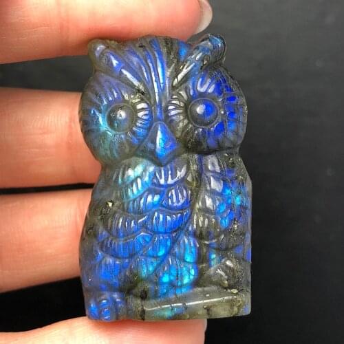 Natural beauty labrador/fluorite quartz crystal carved owl animal healing