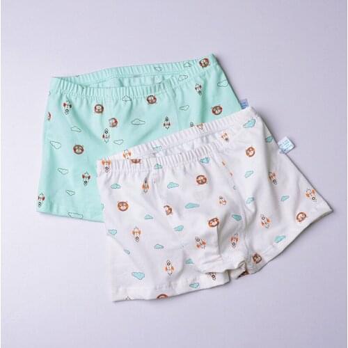 2 Pcs Boys Underwear Shorts Panties Cartoon Design Childrens Boxer Underpants Briefs Soft Cotton Teenager Underware For 1-12Y