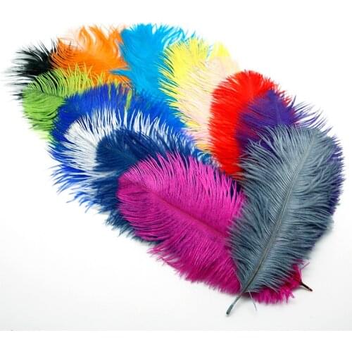 10pcs Ostrich Feather Colorful Dyed for DIY Jewelry Craft Making & Wedding Party Decor Mask Women Dress Decoration