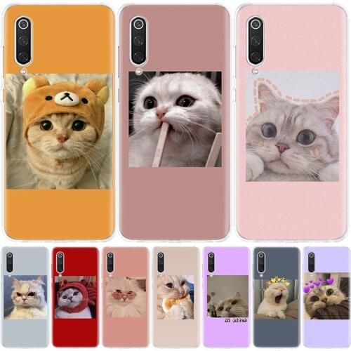 Super Lovely Cat Kitten Cute Funny Phone Case for Xiaomi Redmi Note 10 Pro 10S 9S 9 8T 9 9A 9C Casing 8 7 7A 8A 6A 6 5 S2 K20 K3