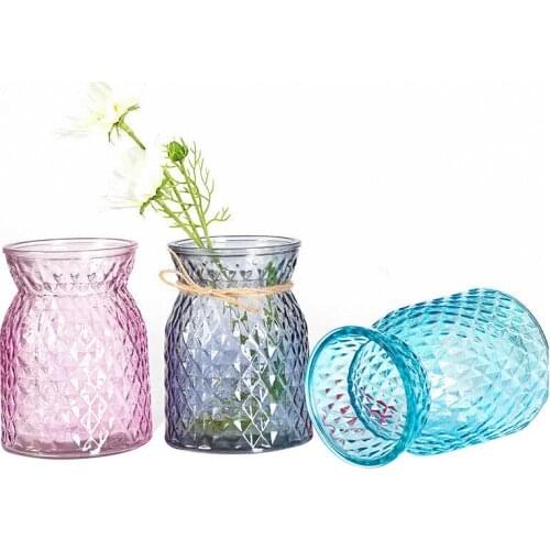 Home Decoration Vases Glass Flower Vase Terrarium Succulents Plant Gift Micro Landscape Cover And Filler Terrarium