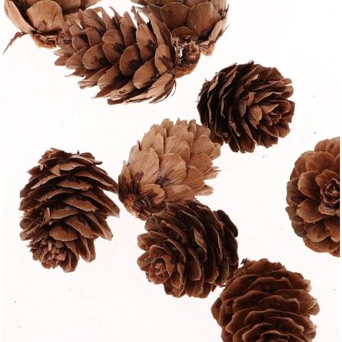 Natural Pine Cones Ornament Tree Party Hanging Decoration Holiday Home Decor