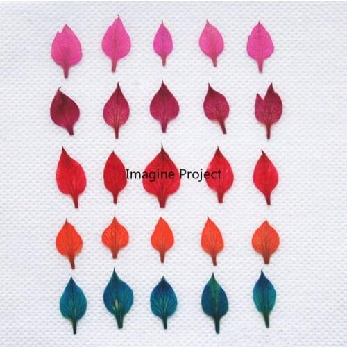 60pcs Pressed Dried Nigella Damascena Petals Flower Plant Herbarium For Jewelry Postcard Phone Case Bookmark Scrapbook DIY