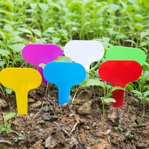 100PCS Colorful Plant Markers Garden Bonsai Succulent Seedings Tags Sign PVC Gardening Labels Stake on Soil Paint Sticks