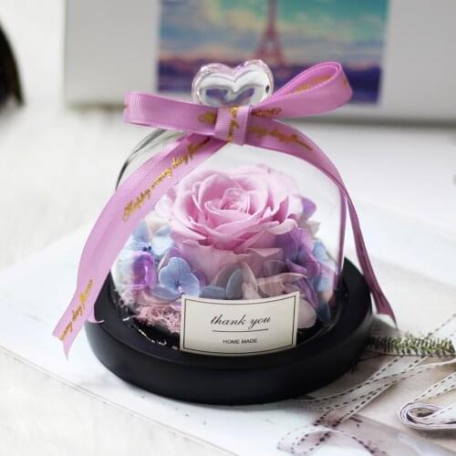 Unique Glass Dome Rose with Lighting Real Rose and Beauty Beast Preserved Rose Valentines Day Gift