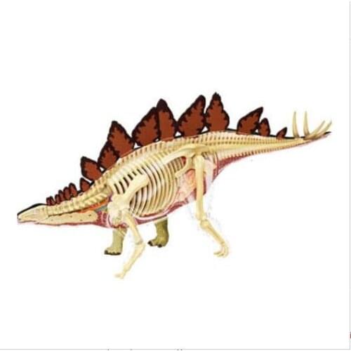 4D Dinosaur Puzzle Assembly Stegosaurus Dinosaur Animal Model Simulation Medical Teaching Model Kids Science Educational Toys