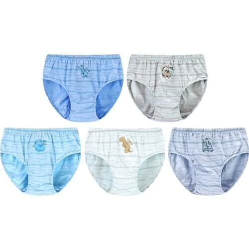 5pcs Cotton Kids Underwear for Boys Briefs Spandex Dinosaur Stretchy Panties Kid Clothes 3 4 5 6 7 8 9 10 12 Year Old OBU203122