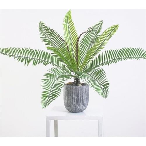 Artificial Cycas Tree Plants Leaves Leaf Green Greenery Plants Tropical Cycas Palm Indoor Outside Home House Garden Office