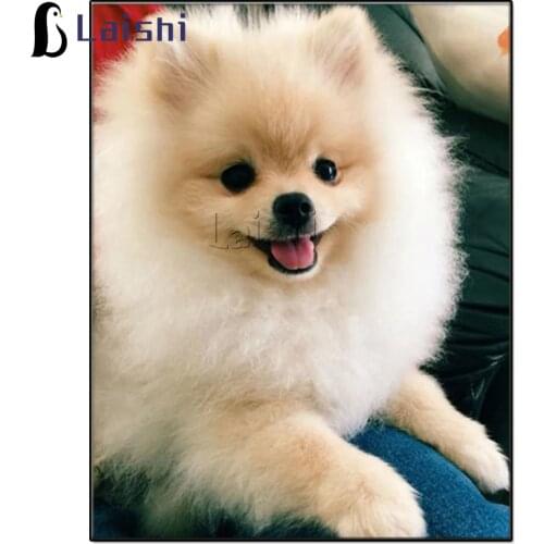Full drill square round diamond painting Cute pomeranian mosaic diamond rhinestones diamond embroidery cross stitch animal