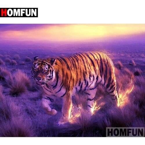HOMFUN Full Square/Round Drill 5D DIY Diamond Painting "Animal tiger" 3D Embroidery Cross Stitch 5D Home Decor A17154