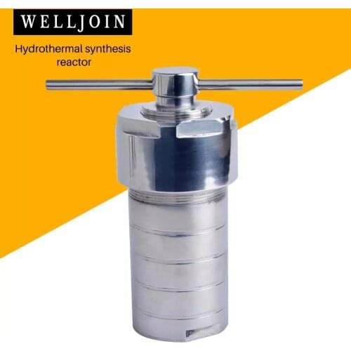 50ml Autoclave Hydrothermal Reactor 25ml PTFE Lined Synthesis Autoclave Reactor High Pressure Digestion Tank