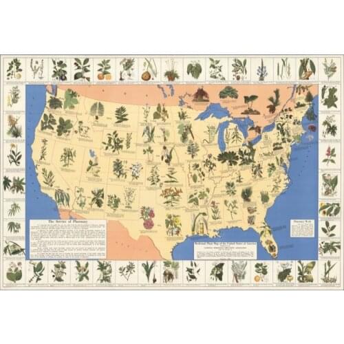 Vintage American Plants Map Retro Poster Canvas Painting DIY Wall Paper Posters Home Decor Gift