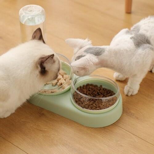 Double Pet Bowls Dog Food Water Feeder Stainless Steel Pet Drinking Dish For Dogs Cats Drinking High Quality Pet Products