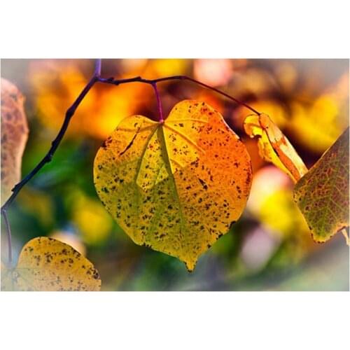 5D square Diamond Painting cross stitch Leaf landscape Mosaic Pictures of Rhinestones Home Decor DIY Diamond Embroidery Icons