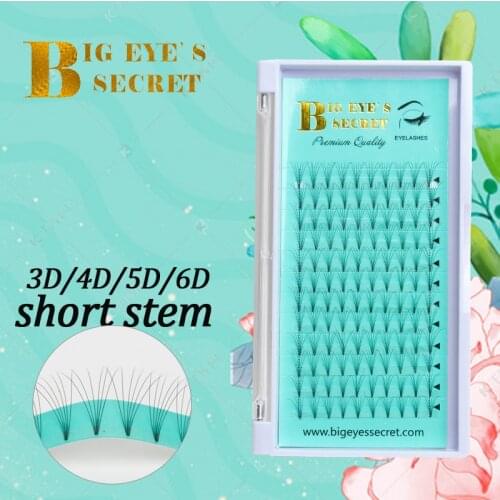Big Eyes Secret Short Stem Premade Volume Fan 3D 4D 5D 6D 10D Eyelash Extension Russian Volume Lash Individual Faux Mink Lash
