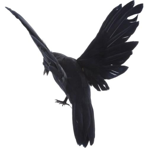 Artificial Garden Flying Crow Statue Decor for Hunting Decoy / Halloween Prop,12cm Decorative Bird Ornaments Home Garden Decor