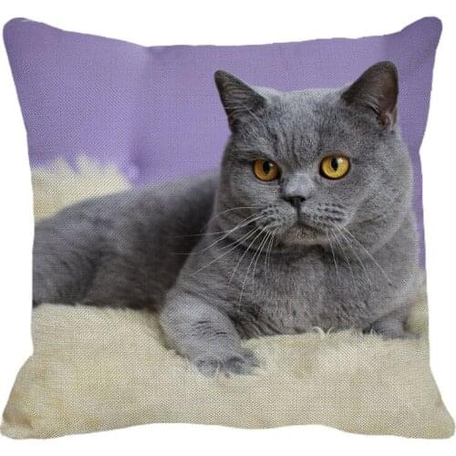 XUNYU 45cmx45m pet British shorthair new pillowcase cotton comfort cushion set home car sofa decoration pillowcase YH033