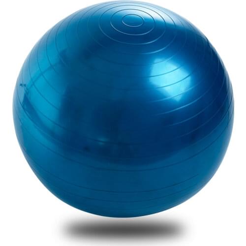 Yoga Fitness Ball 65cm Utility Yoga Balls Pilates Balance Sport Fitball Proof Balls Anti-slip for Fitness Training