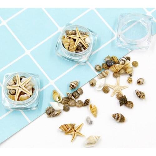 Small Natural Beach Seashell Starfish Nautical Decor Jewelry Glass DIY Fillers Nail Art Resin Fillings Jewelry Making