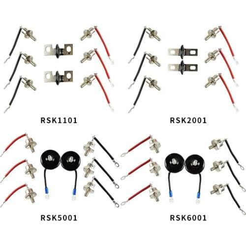 RSK1001 RSK2001 RSK5001 RSK6001 Generator Bridge Rectifier Diode RSK Series Rectifier Modules