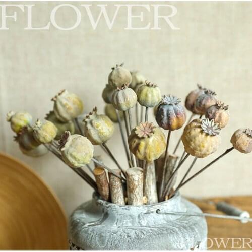 Dried Fruits Fake Plant 6 Branch Nutshell Handmade candy box Christmas Wedding decoration DIY flower arrangement Accessory