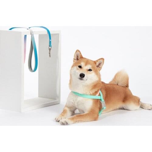 Dog Leashes Jelly Gradient Color Dog Harness Dog Collar Traction Rope Collar Set Teddy Shiba Inu Corgi Dog leash Dog Accessories