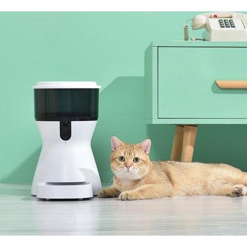 WUXEY Products For Cats