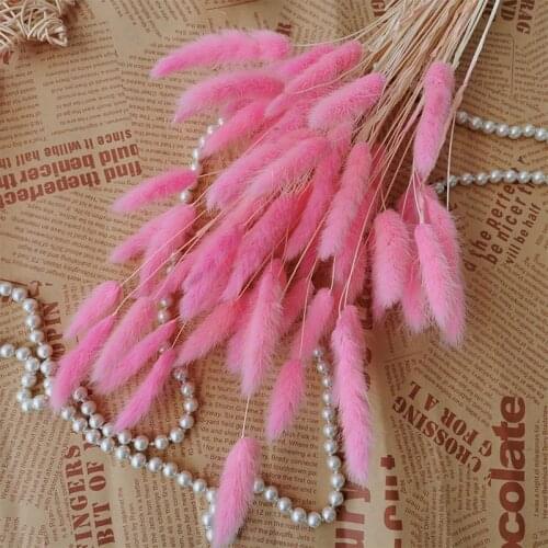 15pcs Dried Natural Flowers Rabbit Tail Grass Real Dry Flower Pampas Grass Wedding Party Decoration Home Living Room Decor