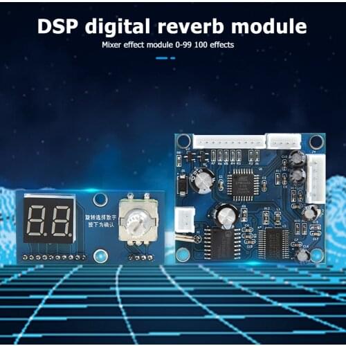 100 Kinds Effects DSP Digital Reverb Module Rechargeable Portable Speaker Wireless DC 5V Karaoke Mixer Effect Board