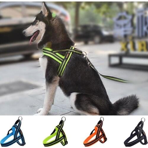 Paercute Harnesses