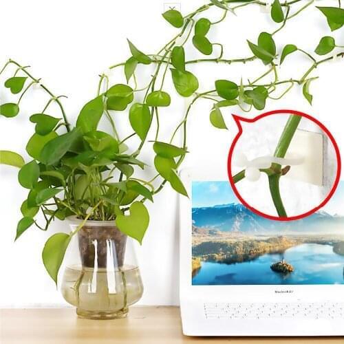 Plant climbing wall Self-Adhesive Fastener Tied fixture Vine Buckle Hook Garden plant wall climbing Vine Clips Fixed Buckle Hook