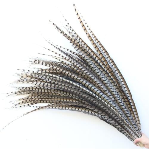100pcs/lot Natural Lady Amherst Pheasant Tail Feathers 36-40inche/90-100cm Carnival Party Costume Cosplay DIY Decoration Plumas