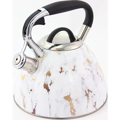 Hausroland Whistling Kettle Color Coating Stainless Steel Teapot 3.0L 04596D