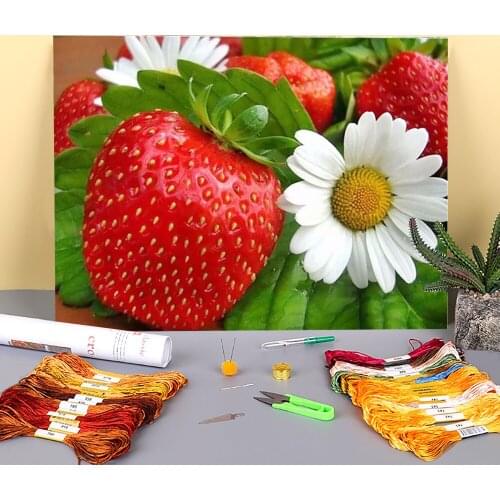 Fruit Strawberry Printed Water-Soluble Canvas 11CT Cross Stitch DIY Embroidery Patterns DMC Threads Needlework Craft Needle